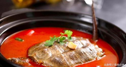 杭州男子钓10斤重鱼,浙江杭州男子钓到近70斤重大鱼