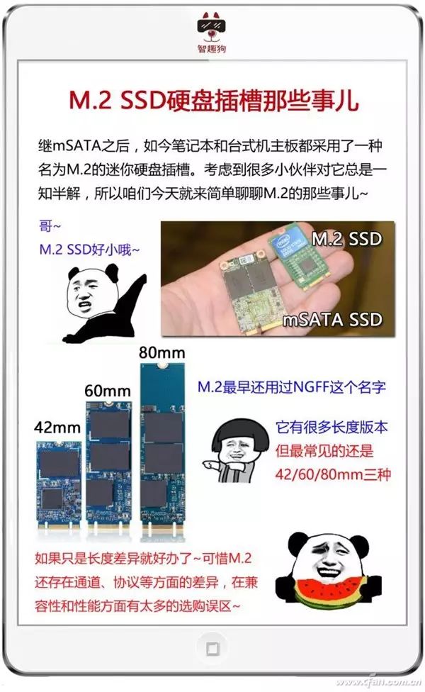铅锤哥：固态硬盘的M.2、SATA、PCI-E、NVME究竟说的是什么？