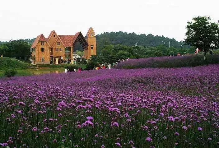 涓嶈缇℃厱鍑哄幓鏃呮父鐨勪汉,涓嶈缇℃厱鍑哄浗鏃呮父