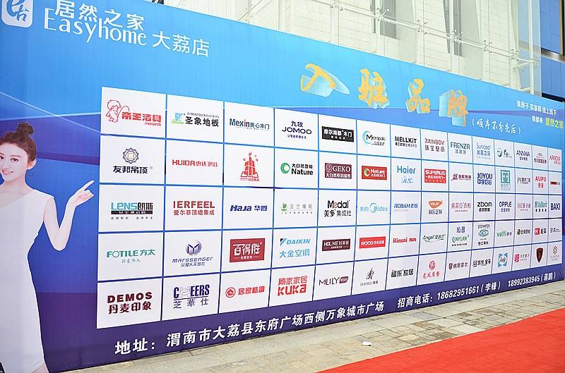 渭南市大荔县人民政府段洪涛,渭南大荔段洪涛