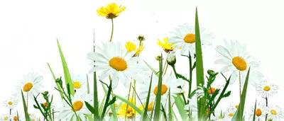 包头内的主题公园,城建美景