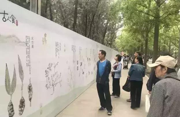在地坛公园感受中医药文化的魅力~