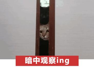 微信聊天怎么拉黑才不会被发现,微信要怎么做才不会被拉黑