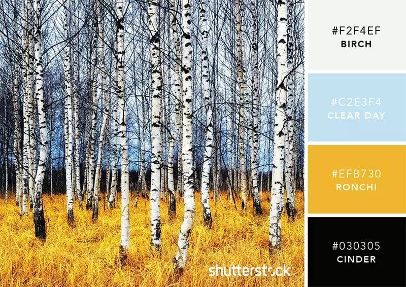 设计师必备100个材料,设计师必备100个素材