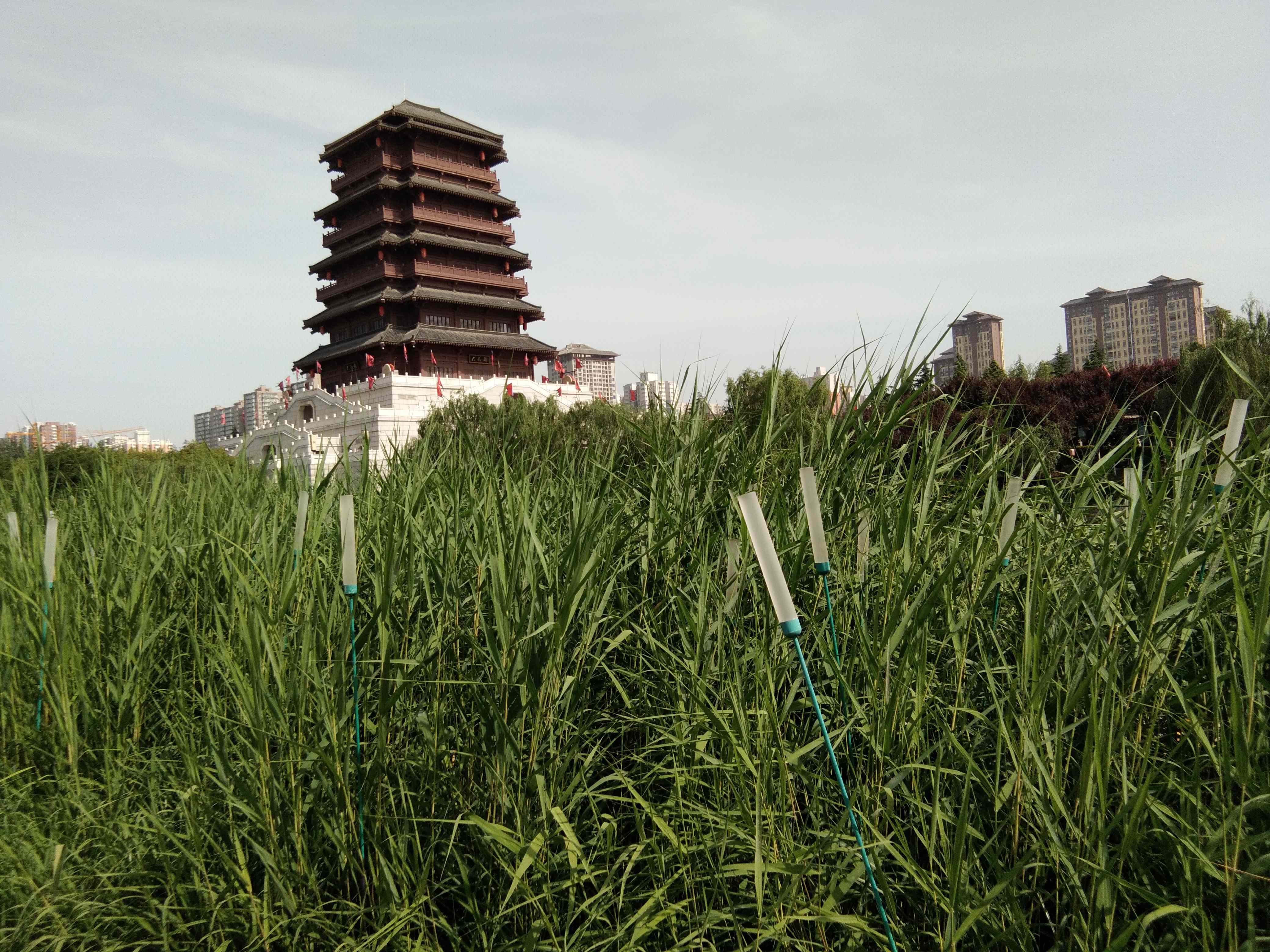 脚踏汉城湖公园全程!感受汉武辉煌!