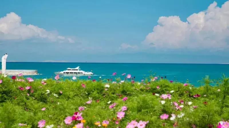 我们为什么要去大西北,为什么要去大西北旅行的理由是啥