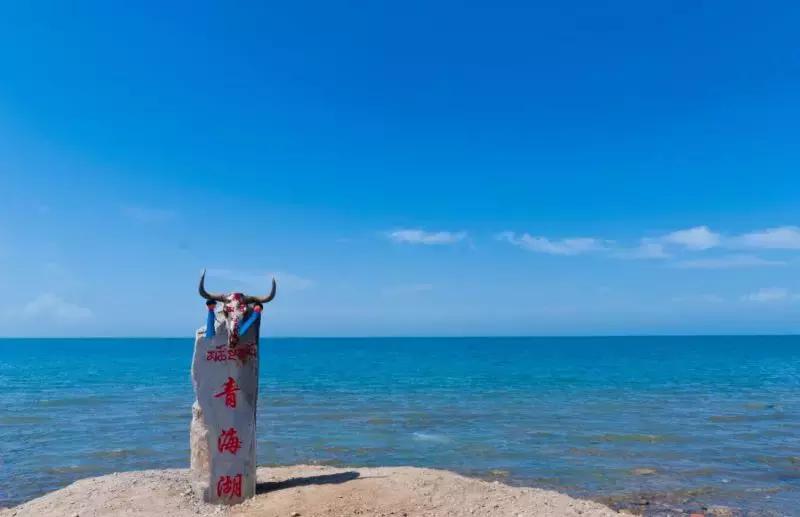 我们为什么要去大西北,为什么要去大西北旅行的理由是啥