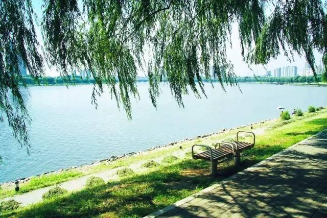 沈阳景区门票免费,沈阳老龙口景区门票