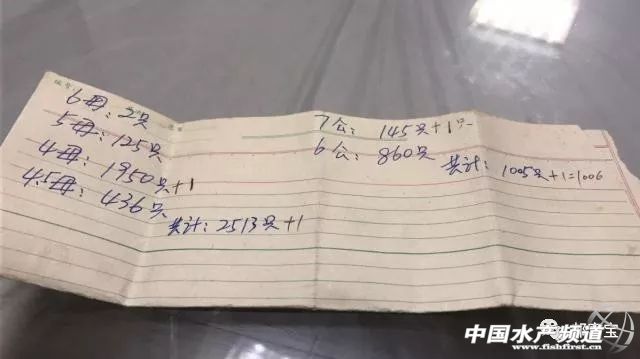 蟹苗高产秘诀,养殖精品蟹