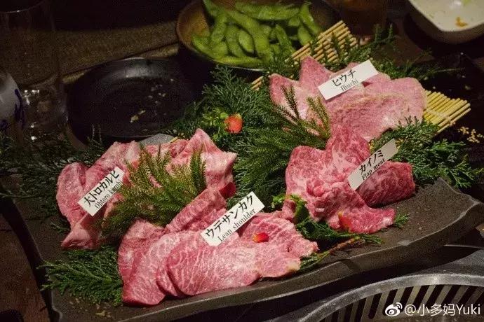 北海道冬季亲子游的景点有哪些,北海道冬天旅游亲子游攻略