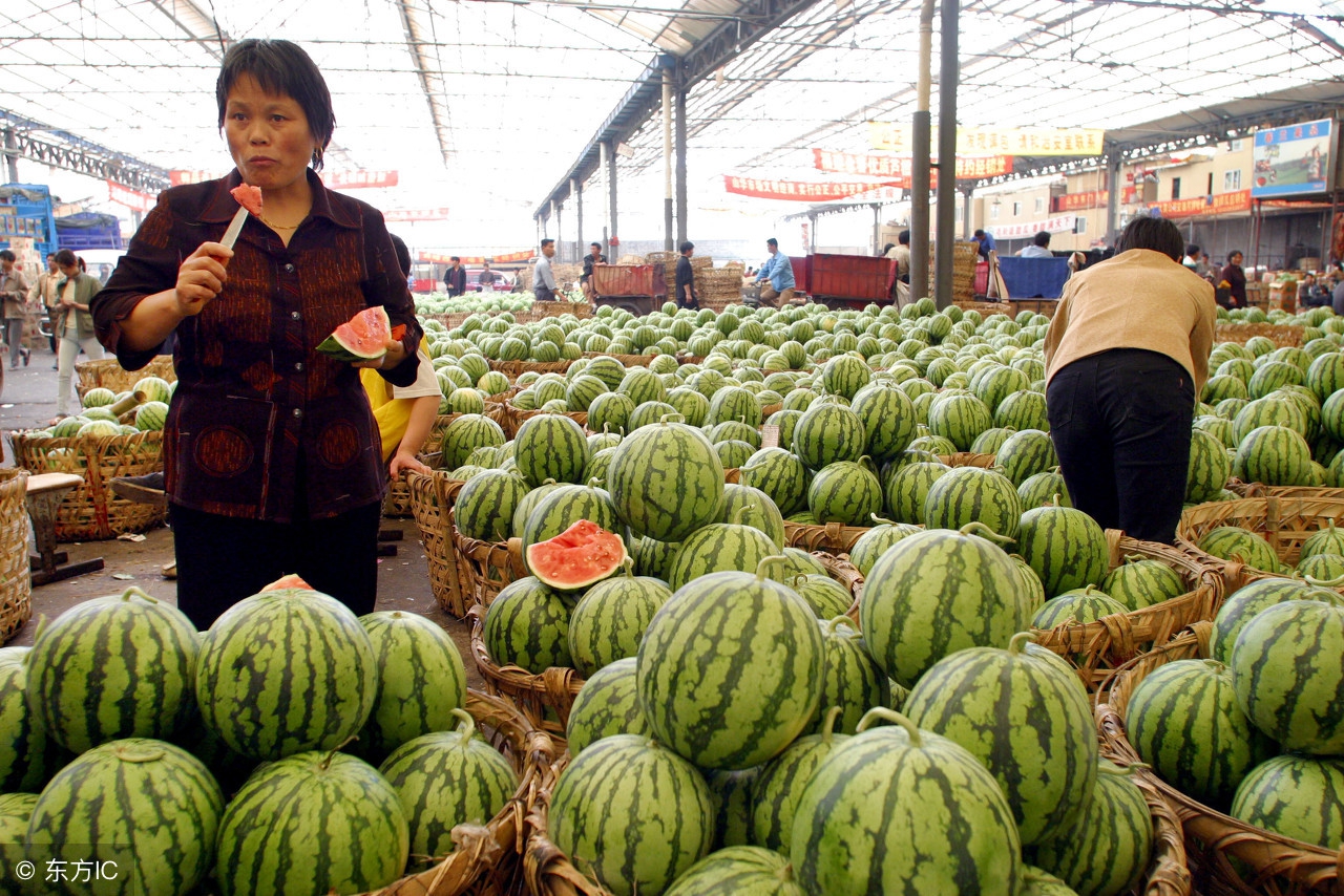 西瓜价格8月8号行情走势,查看今年西瓜行情