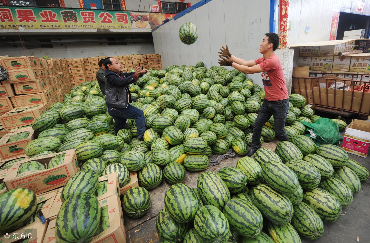 西瓜价格8月8号行情走势,查看今年西瓜行情