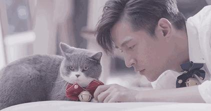 靠谱比聪明更重要,靠谱才是最高级的聪明