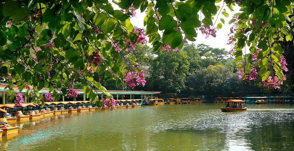 广州越秀公园旅游景区攻略,广州越秀公园门票价格