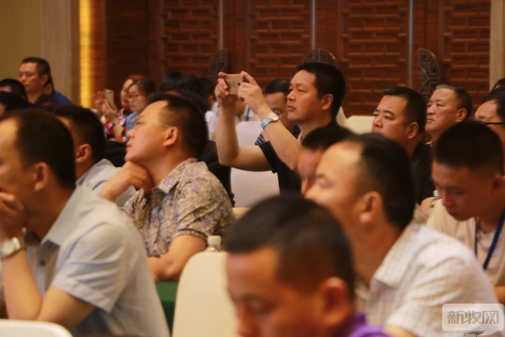 洪平：猪价低就该给猪吃便宜的饲料？