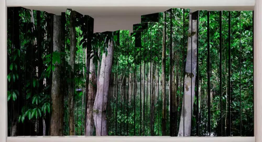 100张摄影作品灵魂舞者,60幅摄影作品一览