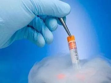 徐静蕾冻卵的危害,林志玲为什么要冻卵