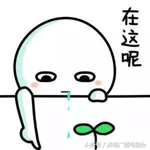 徐静蕾冻卵能生孩子吗,林志玲徐静蕾