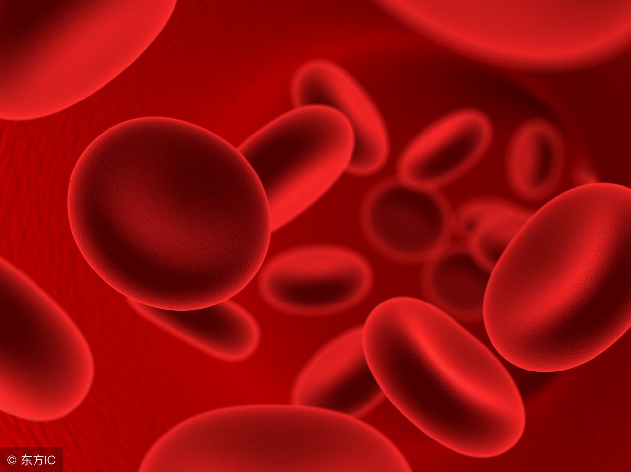 贫血很难补血血压还下降了,贫血血压又高怎么回事