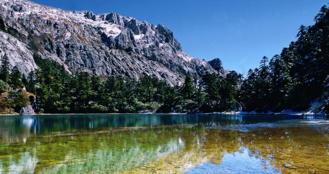 京东买了两瓶茅台假的怎么办,京东抢的茅台出现假的怎么办