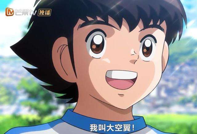 足球小将大空翼对阵若林源三,足球小将若林源三全国决赛