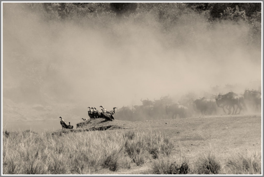 佳能80d和5d2怎么选,佳能5d2和80d拍照对比