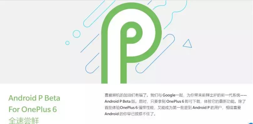 不将就的一加手机路在何方,一加手机最具性价比款