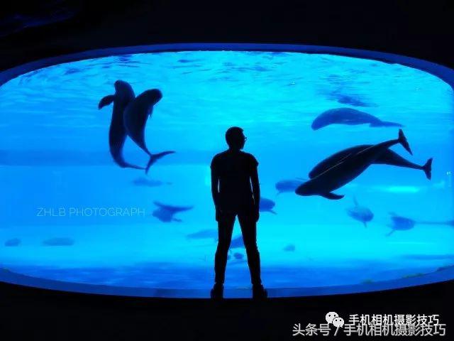 儿童游乐园摄影,适合拍照的游乐园