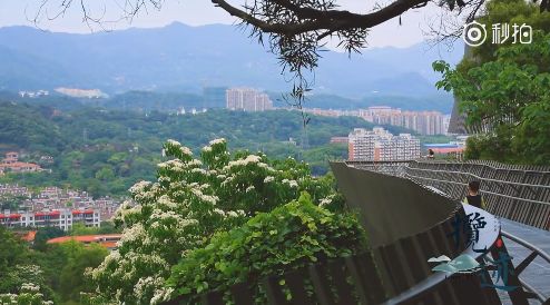 福州2022年5月赏花攻略,福州春季赏花胜地