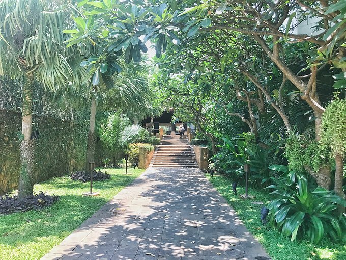 “湿身”一夜芭提雅——不负泰激情