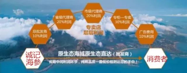 揭秘海参内幕,海参市场的真实现状