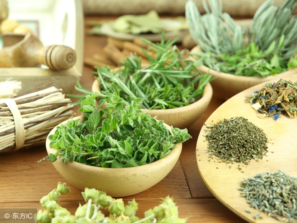 中药板蓝根的妙用,中药板蓝根疗效