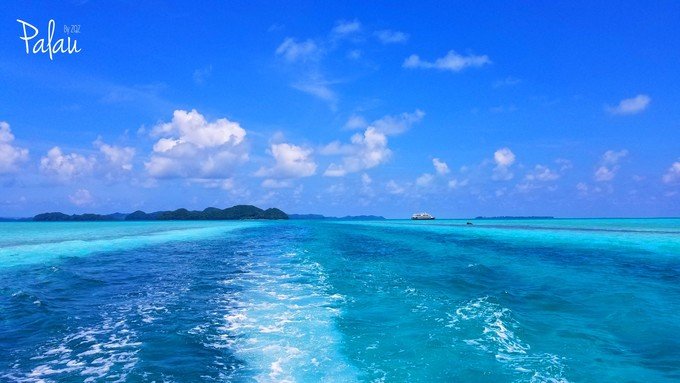 帕劳浮潜一次大概多少钱,帕劳浮潜穿泳衣还是泳裤