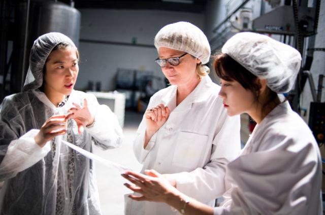 honeydew浜у湴,honeydew铚傝湝