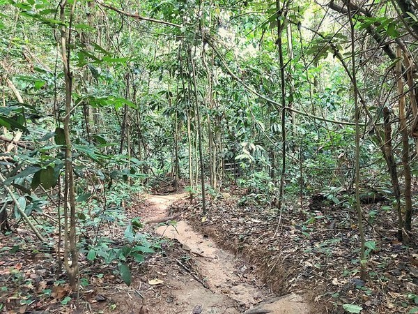 4月泰国泼水节攻略,芭提雅旅游数据泼水节