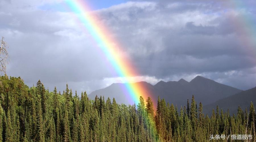 市场行情再度走弱，油价新高引发化工化纤大涨