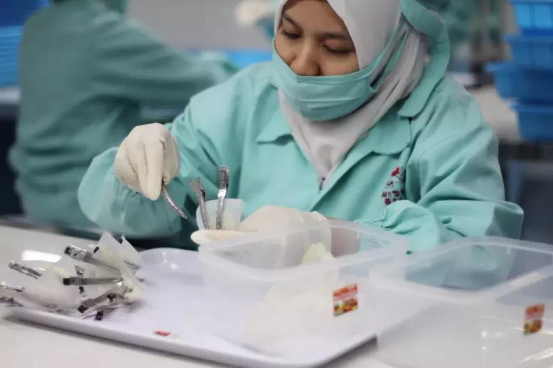 燕窝原料讲解平台,燕窝用什么品种燕窝做