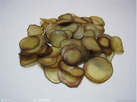 补肾精最佳方法,补肾是补肾阴还是补肾精