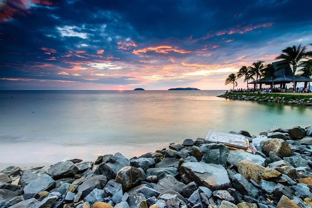 大个头的大智慧！来聊聊什么是单反