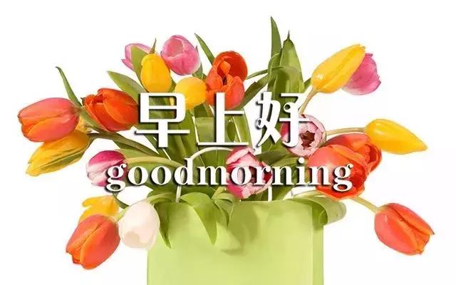 最新早上好图片鲜花带字微信朋友圈早安一句话心情短语