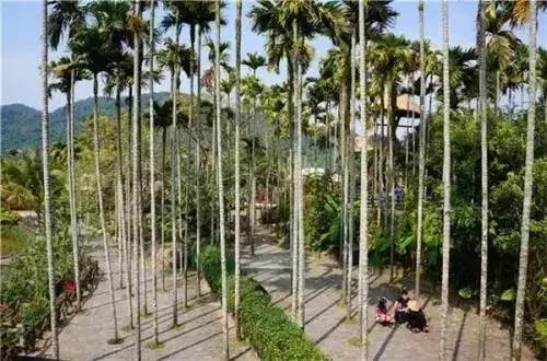 海南共享农庄批几个村庄,海南2019年首批共享农庄