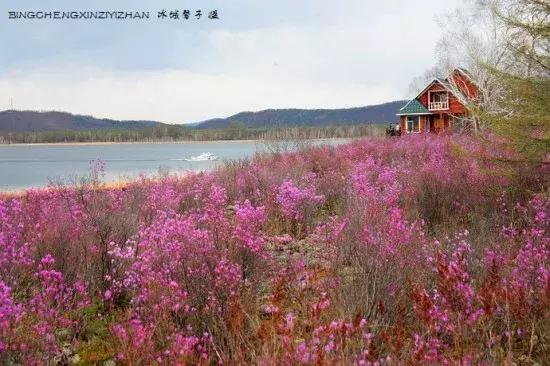 嗨起来五一游玩,必去的13个免费景区