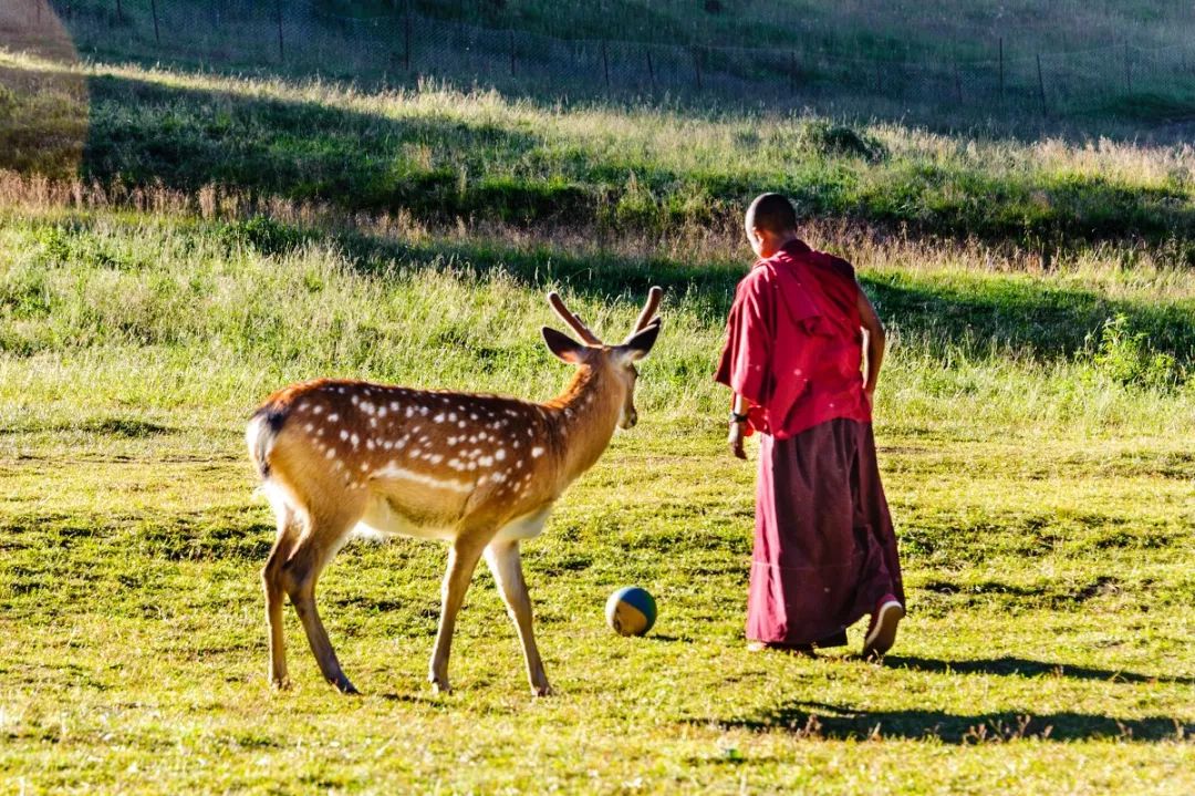 连绵的群山、广袤的草原、蜿蜒的河流……它就是独一无二的若尔盖