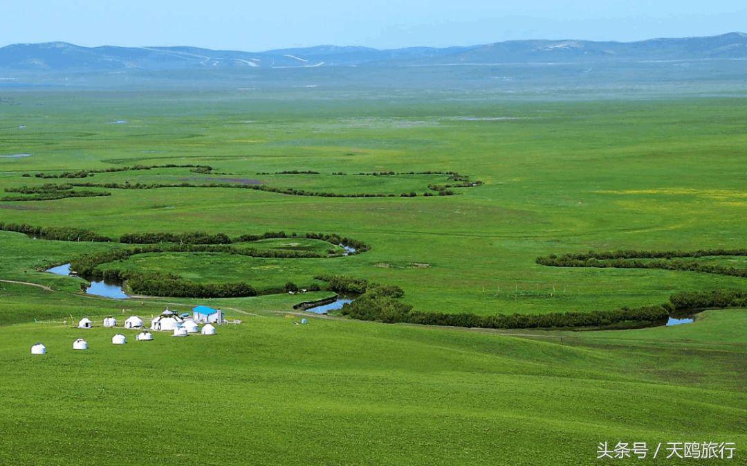 野狼谷乌拉盖狼王,乌拉盖野狼谷还有狼王吗