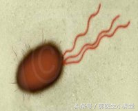 感染新冠会导致不孕不育吗,免疫因素不孕怎么处理