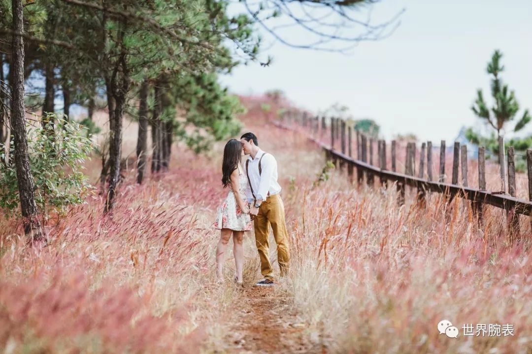 美好时刻值得回忆 (伴你度过美好一夏)