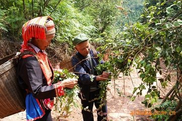 婀栧寳鎭╂柦鍦熷钘よ尪,鎭╂柦鍦熷钘よ尪鍔熸晥