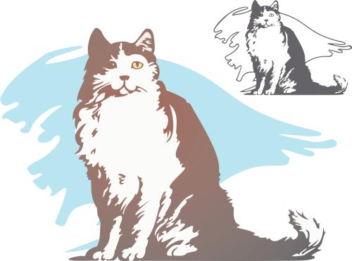 怎样知道猫咪的星座是什么座,十二星座的猫咪性格排名