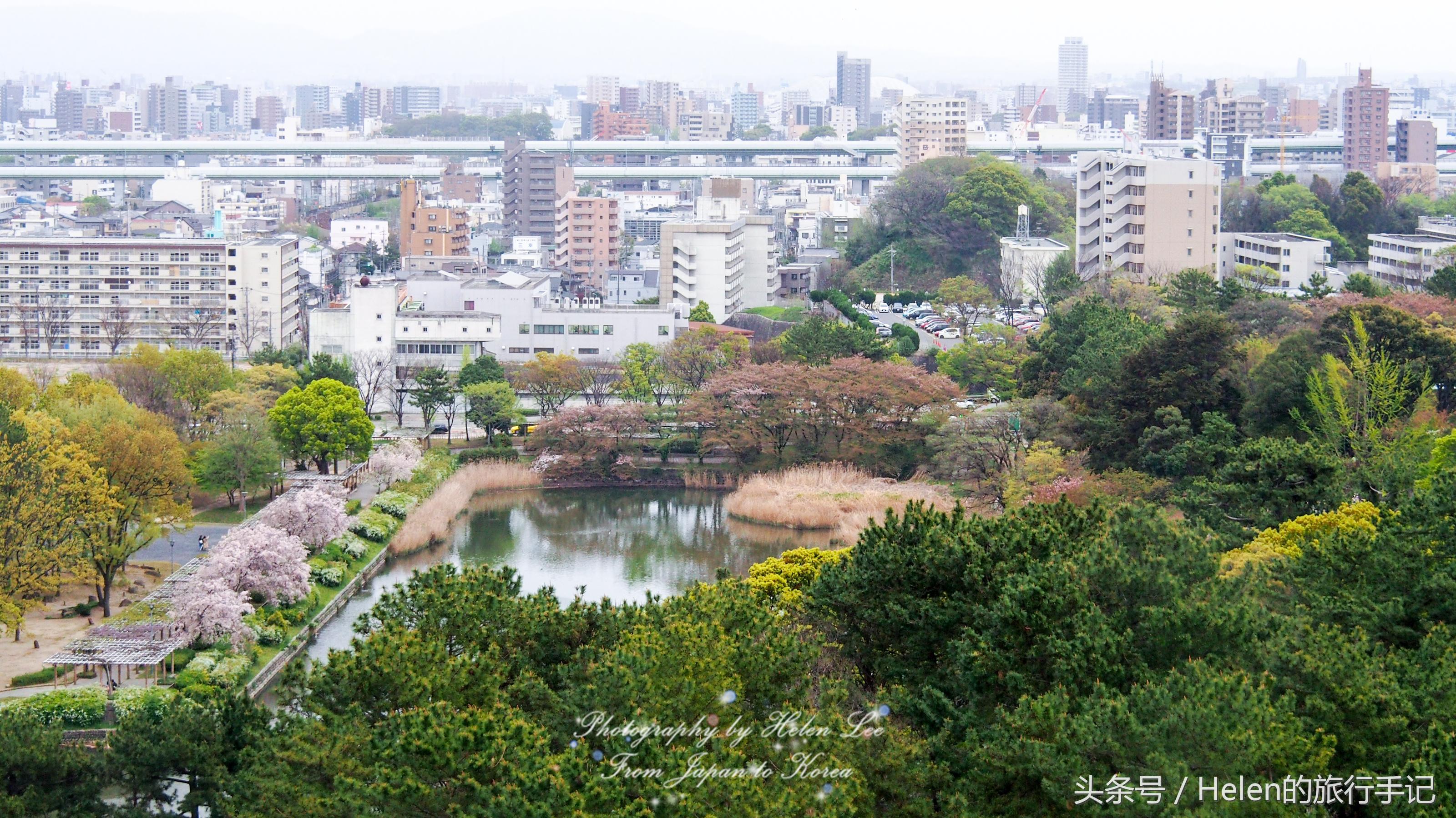 旅行青蛙青蛙去的地方,旅行青蛙日本攻略