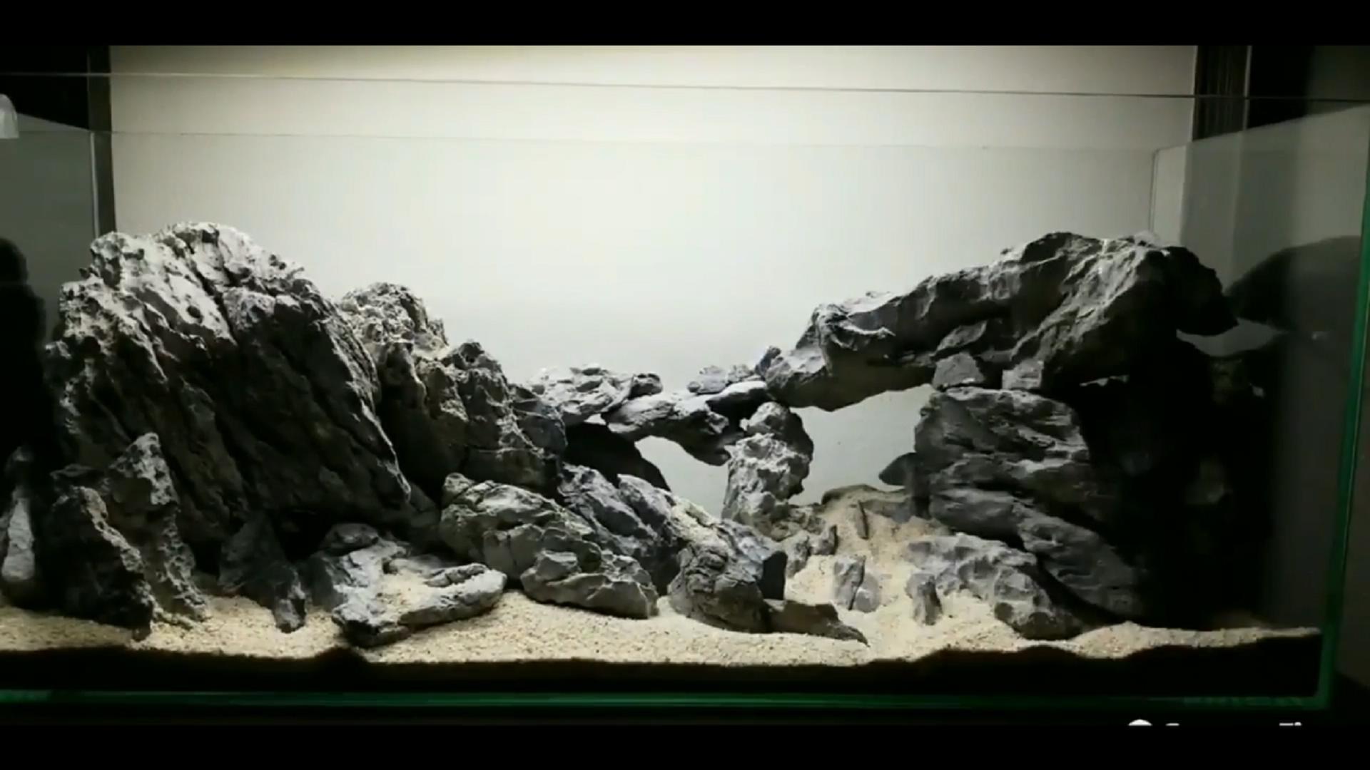 石头开缸需要养水吗,纯石头缸能养出硝化细菌吗